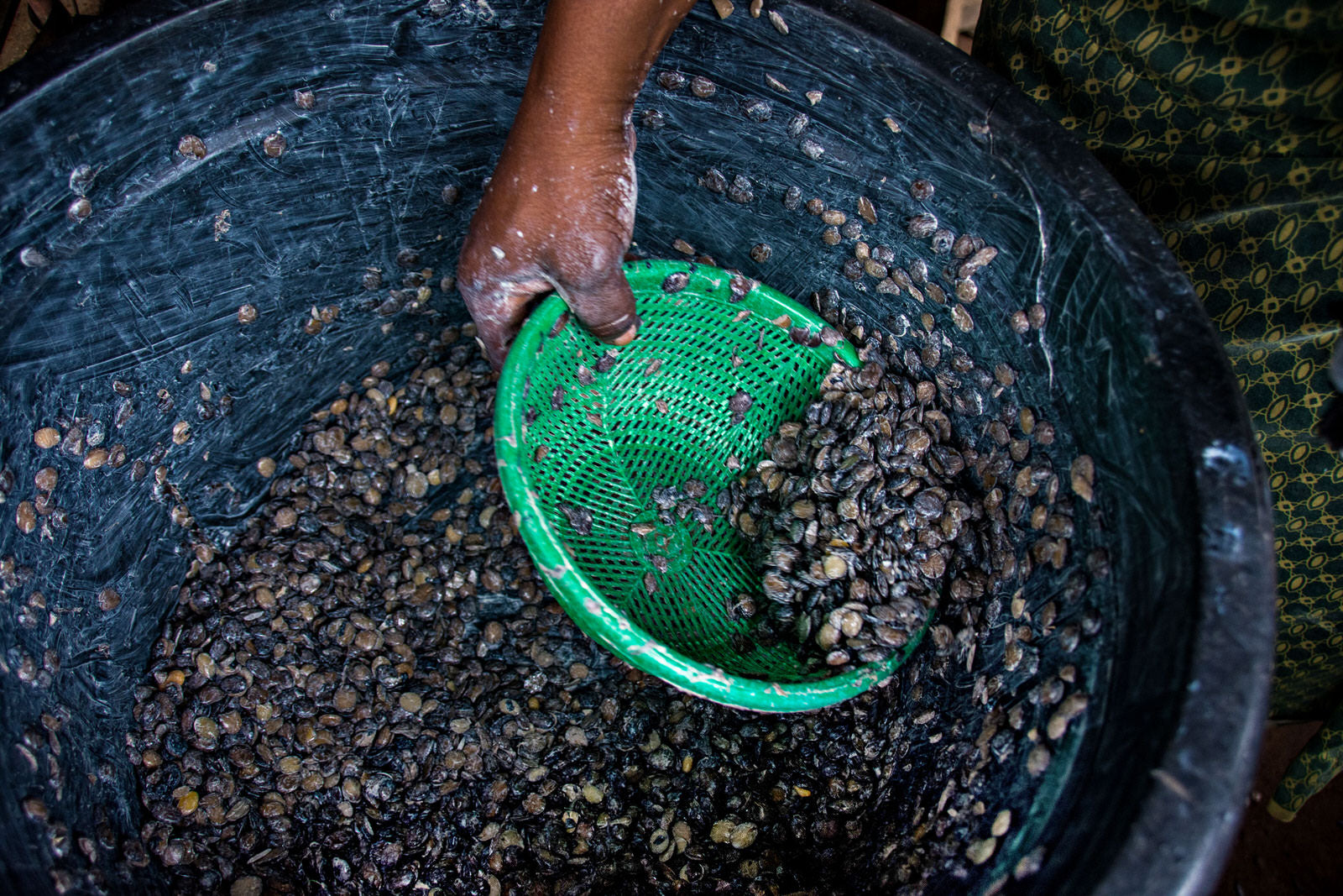 West African Seasonings
