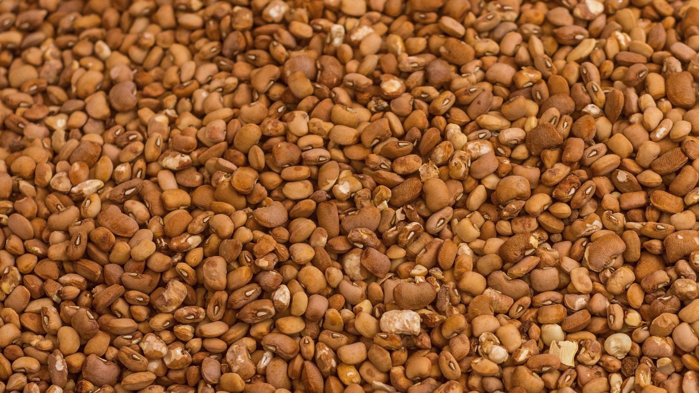 West African Staples - Indeegenus