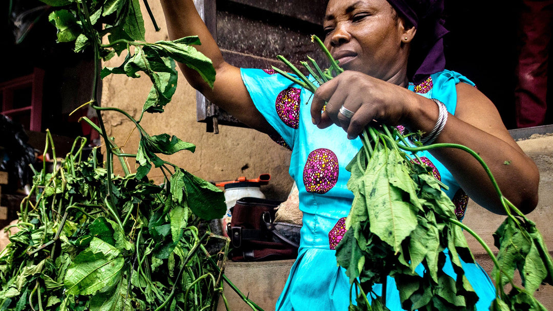 Nigerian wild edible plants