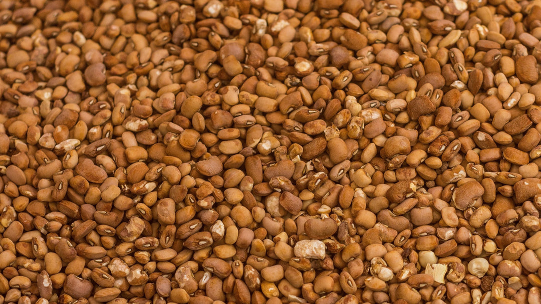 West African Staples