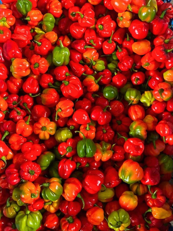 Nigerian Ata Rodo Peppers