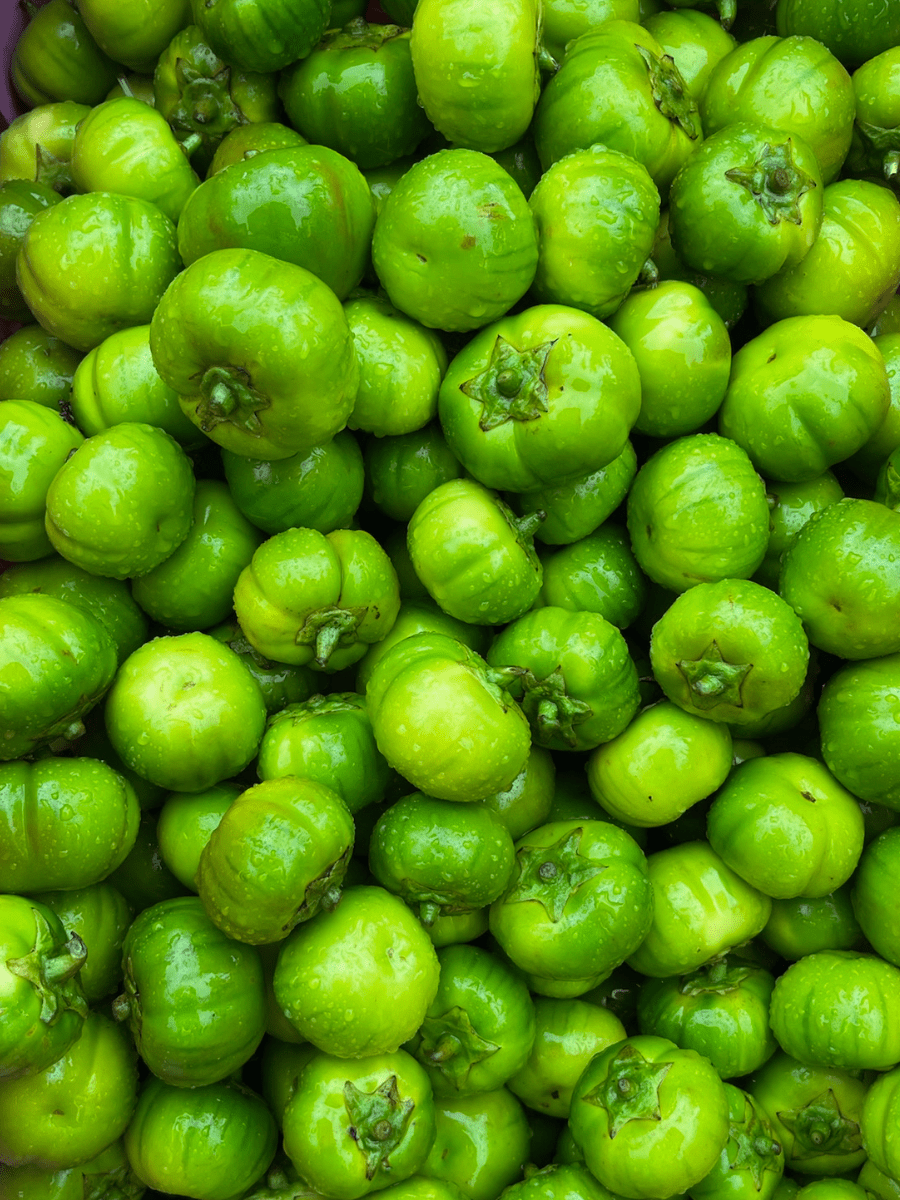 Garden Eggs (Green) - Indeegenus