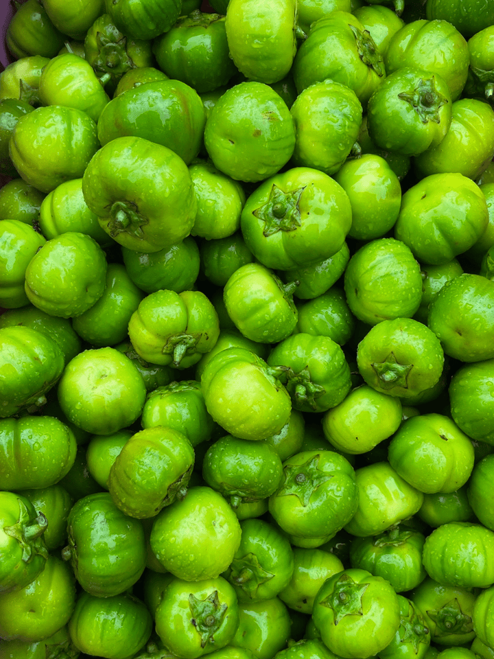Garden Eggs (Green) - Indeegenus