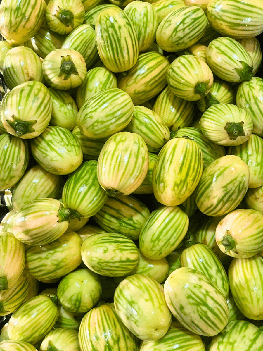 Garden Eggs (Green Striped) - Indeegenus