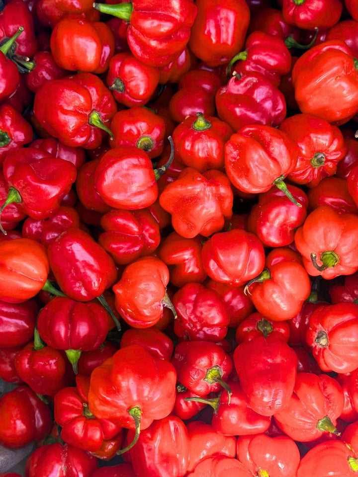 Nigerian Ata Rodo Peppers - Indeegenus
