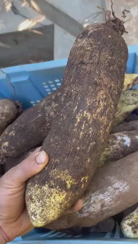 Indeegeuns.com Nigeian yam tubers