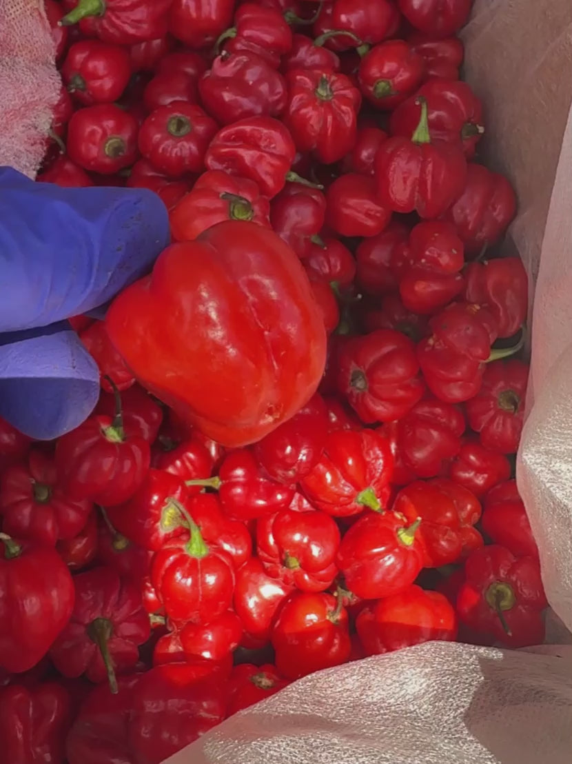 Nigerian Ata Rodo Peppers